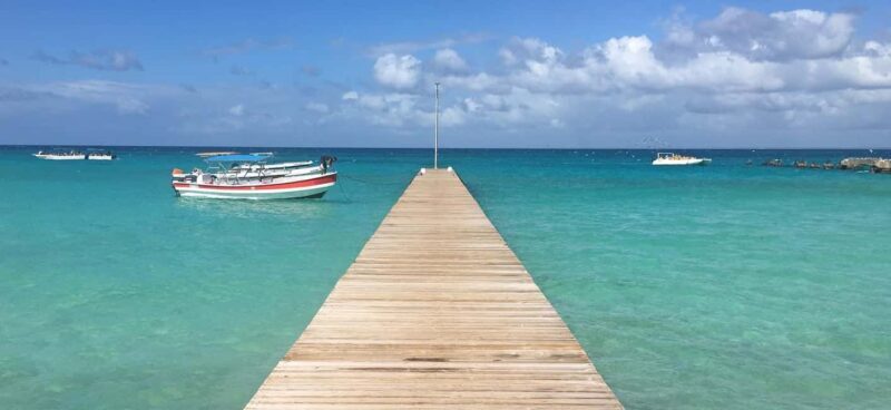 From Santo Domingo: Saona Island Tour with Lunch & Drinks - Who Should Consider This Tour?