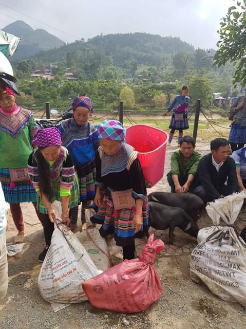 From Sapa: 1D Local Bac Ha Sunday Market Tour - Best Seller - Tour Highlights