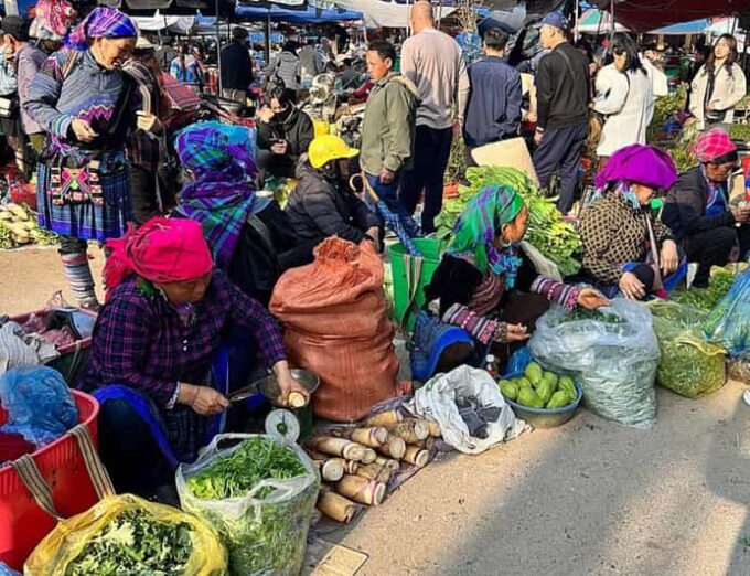 From Sapa: 1D Local Bac Ha Sunday Market Tour - Best Seller - What to Expect