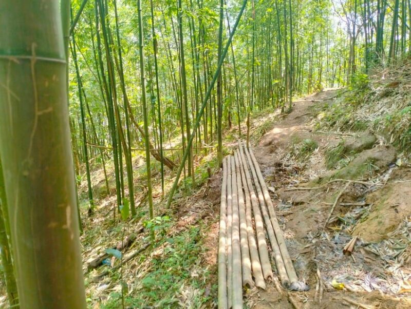 From Sapa 2-Day Sapa Trekking Trip With Homestay & Meals - Accommodation and Meals