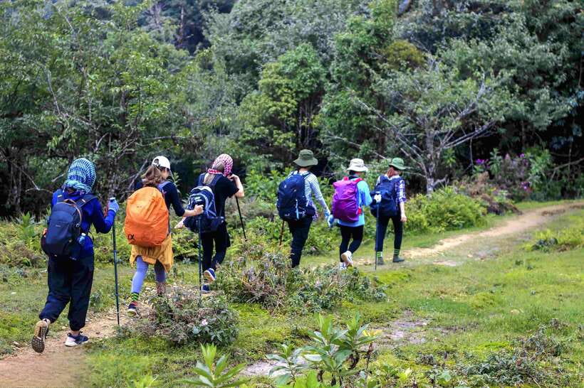 From Sapa: Fansipang Mountain Hike 1 Day - Hiking Details