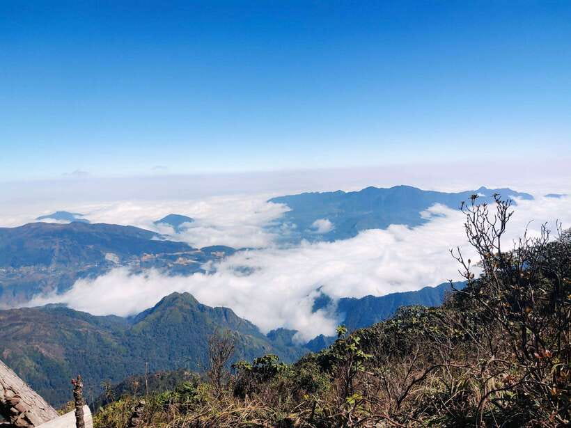From Sapa: Fansipang Mountain Hike 1 Day - Scenic Beauty