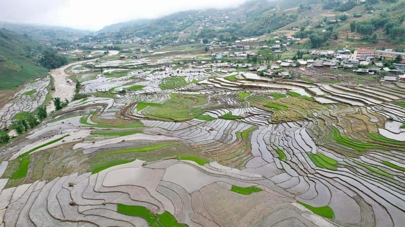 From Sapa: Trek 2 Days - Homestay in Ta Van - Recommended - Customer Feedback