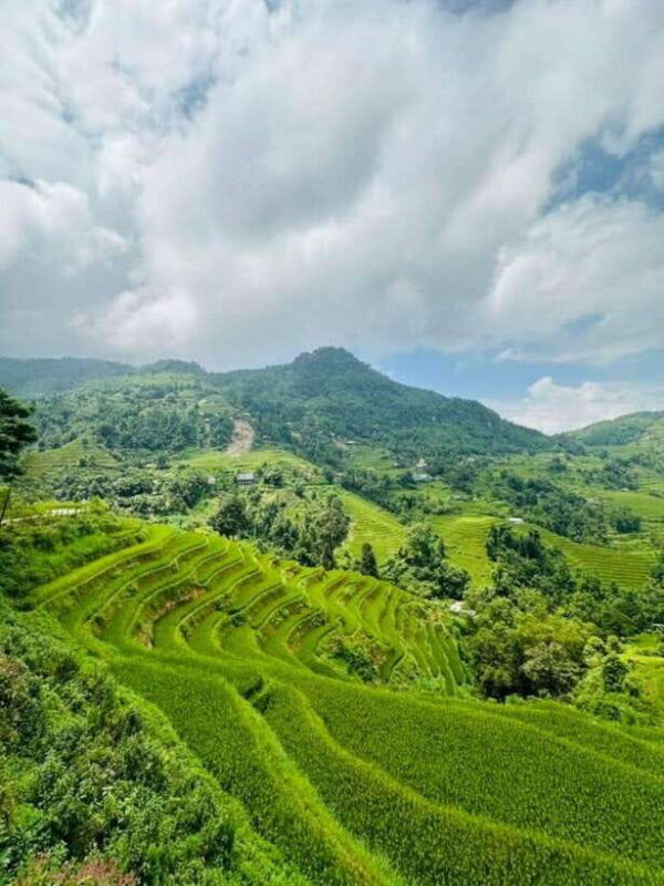 From Sapa: Trekking 1 Day Y Linh Ho - Lao Chai - Ta Van - Key Points