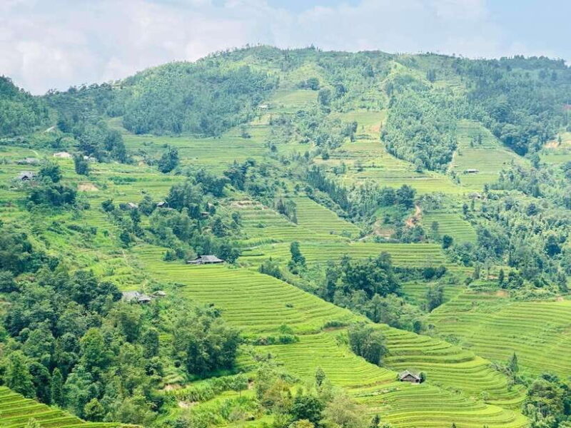 From Sapa: Trekking 1 Day Y Linh Ho - Lao Chai - Ta Van - Itinerary Highlights