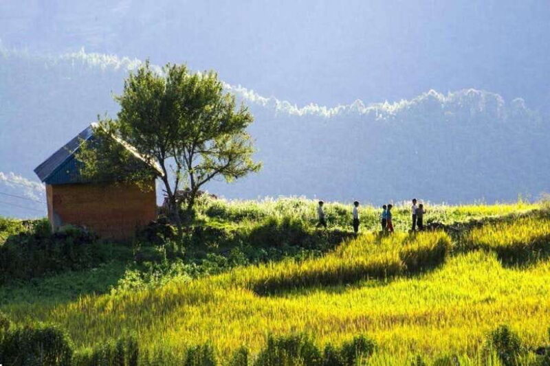 From Sapa: Trekking 1 Day Y Linh Ho - Lao Chai - Ta Van - Scenic Views and Natural Beauty