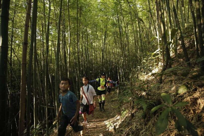 From Sapa: Trekking 1 Day Y Linh Ho - Lao Chai - Ta Van - Local Cuisine: A Taste of Hmong Hospitality
