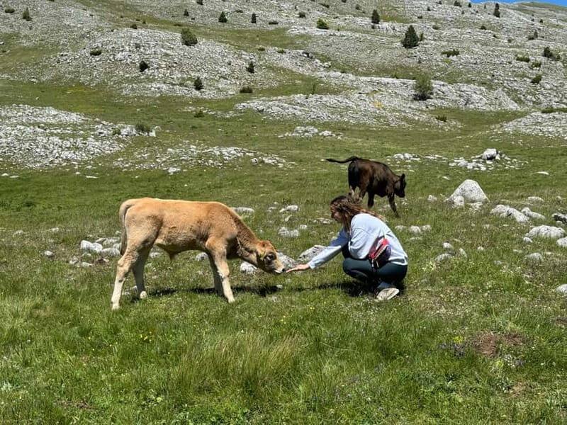 From Sarajevo: Private Lukomir Village 4x4 Safari - FAQ