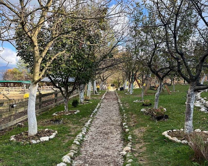 From Sarajevo: Visoko Pyramids, Plantations & Horse Riding - Key Points