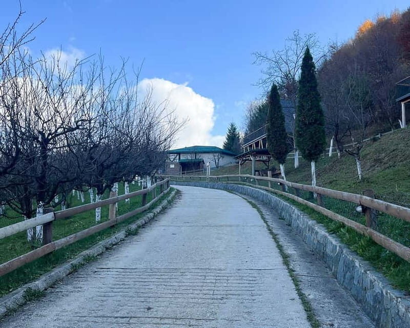 From Sarajevo: Visoko Pyramids, Plantations & Horse Riding - A Closer Look at the Itinerary and Experience