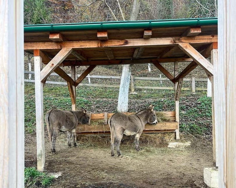 From Sarajevo: Visoko Pyramids, Plantations & Horse Riding - Authenticity and Unique Highlights