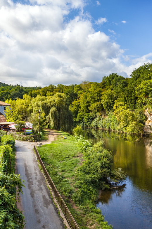 From Sarlat: Half-Day Skip-the-Line Lascaux IV Tour - Comfortable Transportation and Knowledgeable Guides
