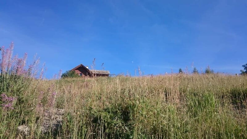 From Sauze d'Oulx to Capanna Mollino: Alpine architecture - Who Will Love This Experience?