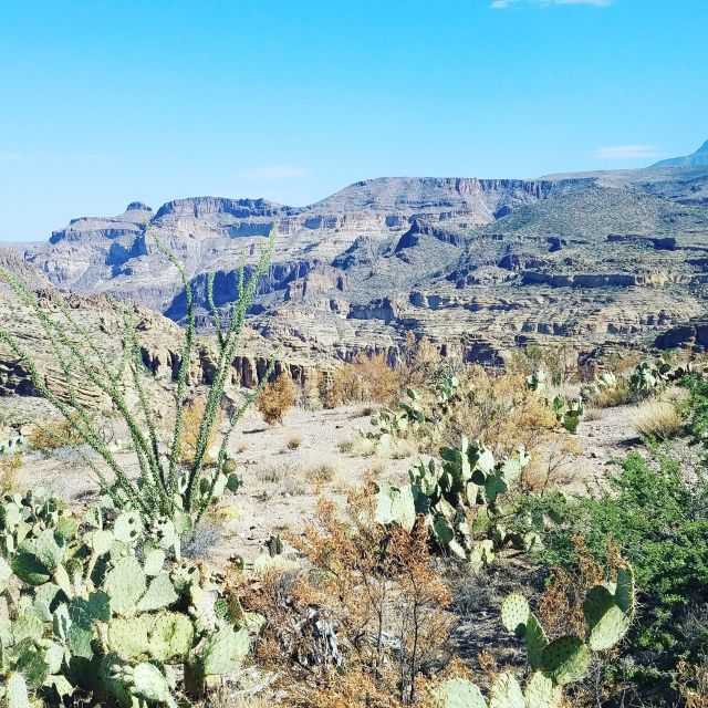 From Scottsdale/Phoenix: Apache Trail Day Tour - Pricing and Booking Details
