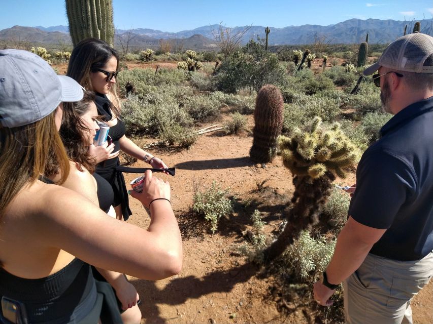 From Scottsdale: Sonoran Desert & Tonto National Forest Trip - Inclusions