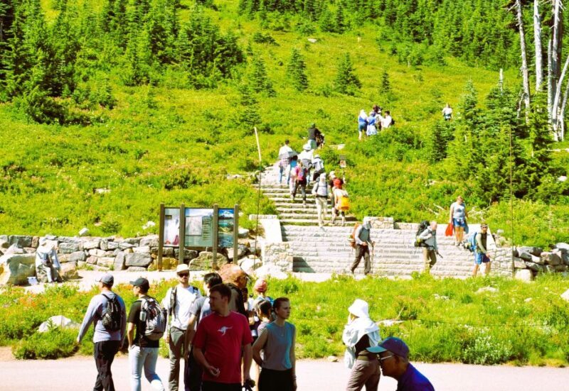 From Seattle: Customized Mount Rainier Tour - The Journey Begins: Comfort and Convenience