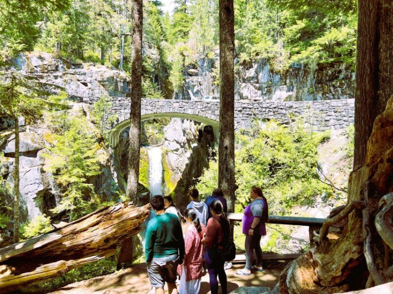 From Seattle: Customized Mount Rainier Tour - Scenic Drive and First Impressions