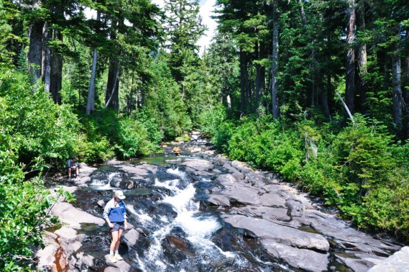 From Seattle: Customized Mount Rainier Tour - Flexible Exploration and Personal Time