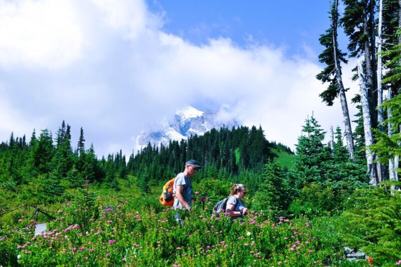 From Seattle: Customized Mount Rainier Tour - Weather Considerations