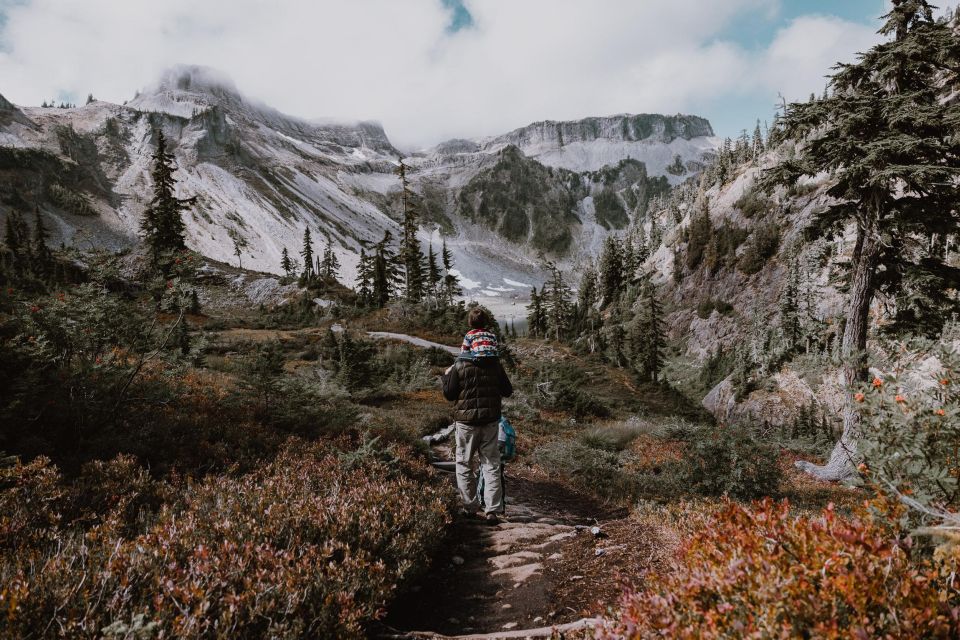 From Seattle - Enchanting Mt Baker & Cascade Mountains Tours - Tour Overview