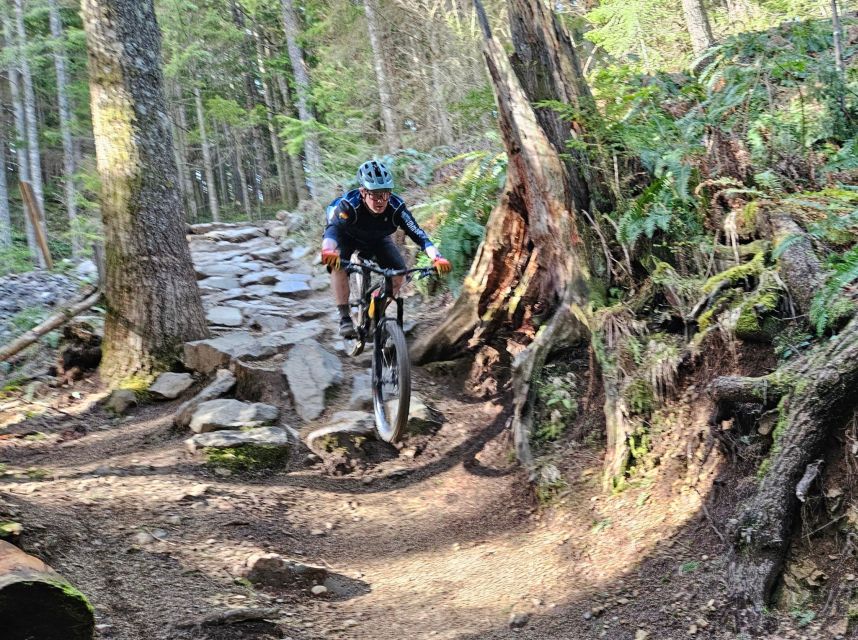 From Seattle: Full Day All-Inclusive Mountain Bike Tour - Group Size and Pickup Locations