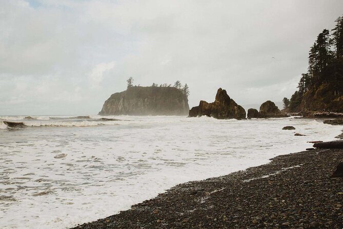 From Seattle Hoh rain forest and Olympic National Park Highlight - Final Thoughts: Is It Worth It?