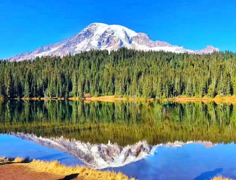 From Seattle: Mount Rainier National Park 1-Day Tour - An Authentic Day at Mount Rainier