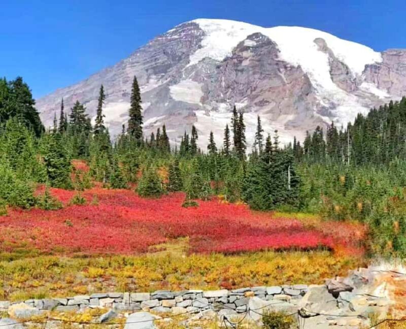 From Seattle: Mount Rainier National Park 1-Day Tour - Frequently Asked Questions