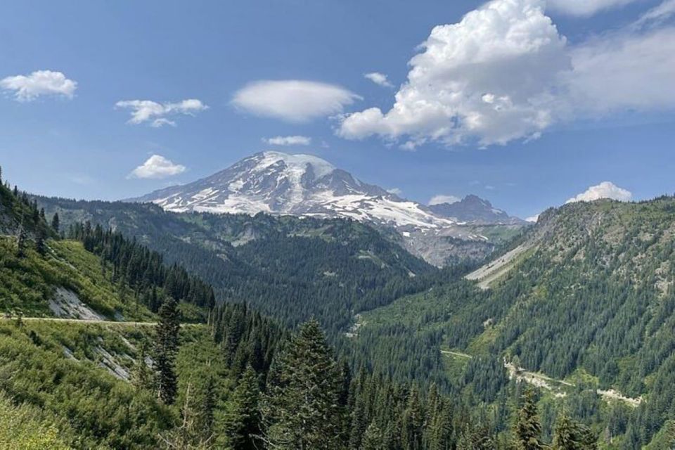 From Seattle: Olympic National Park Full Day Tour - Hurricane Ridge and Marymere Falls