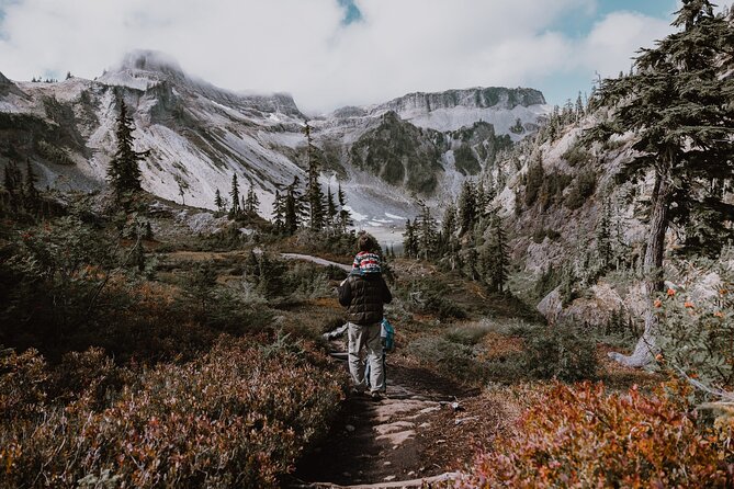 From Seattle - Private Mt Baker and Cascades Tour in SUV - Vehicle Comfort and Features