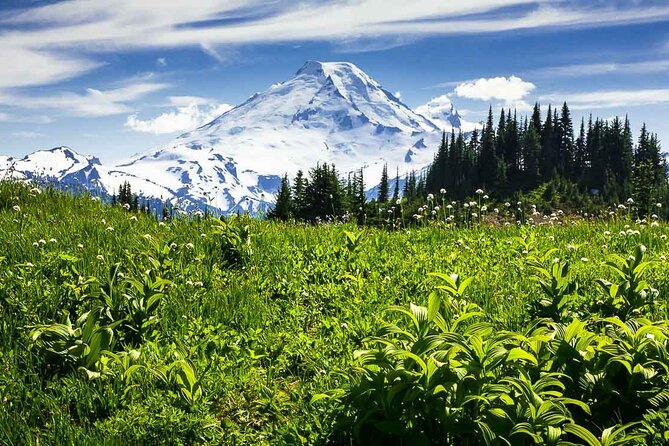 From Seattle - Private Mt Baker and Cascades Tour in SUV - Accessibility Information