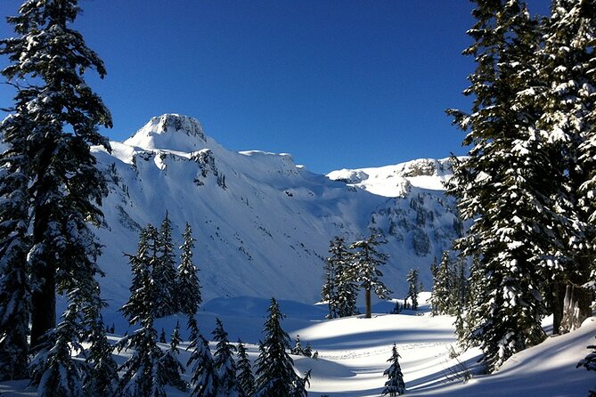 From Seattle - Private Mt Baker and Cascades Tour in SUV - Why Choose a Private Tour Experience