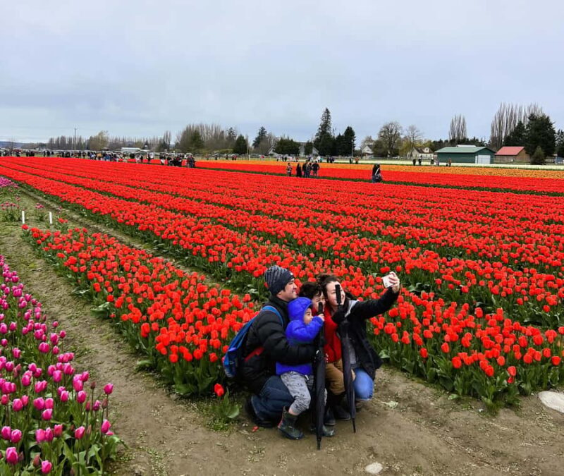 From Seattle: Tour of Skagit Valley Tulip Festival - The Sum Up