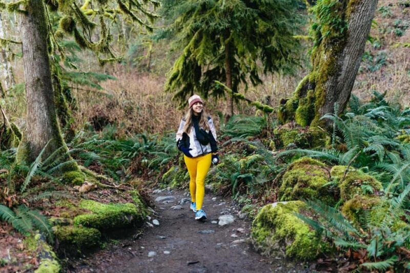 From Seattle: Visit Snoqualmie Falls and Hike to Twin Falls - An Introduction to the Experience