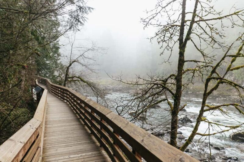 From Seattle: Visit Snoqualmie Falls and Hike to Twin Falls - Who Should Consider This Tour?