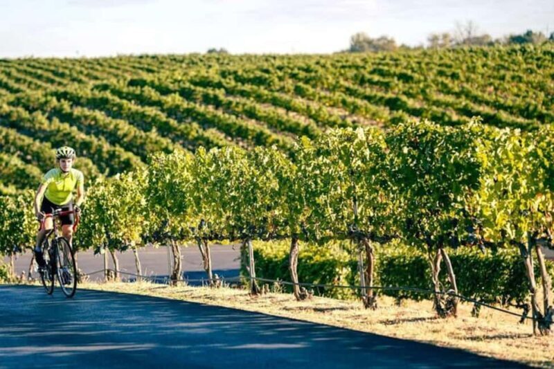 From Seattle - Wine Tasting, Vineyards in Eastern WA - From Seattle - Wine Tasting, Vineyards in Eastern WA: A Practical Guide to a Beautiful Day