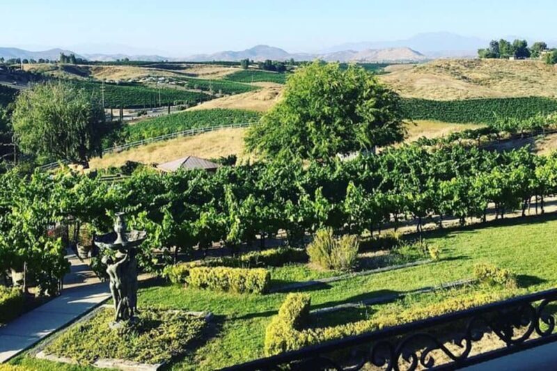 From Seattle - Wine Tasting, Vineyards in Eastern WA - The Tasting Experience