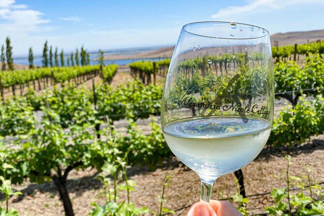 From Seattle Wine Tasting, Vineyards in Eastern WA - The Journey from Seattle to Washington’s Vineyards