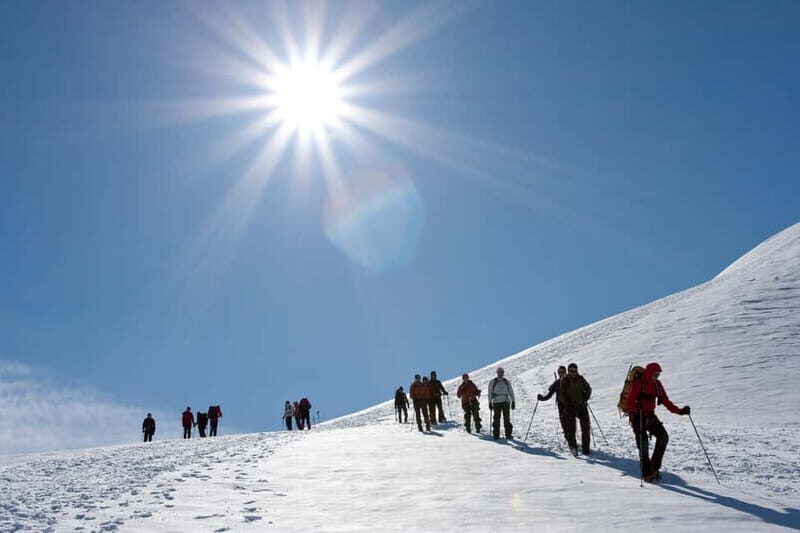 From Seljavallalaug: Eyjafjallajökull Volcano Summit Hike - Who Should Consider This Tour