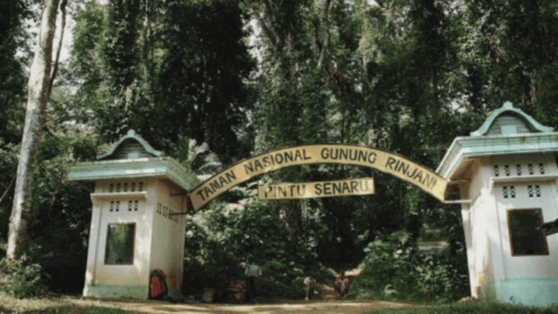 From Senaru: Mount Rinjani Trekking Tour 2 Days - Included Services