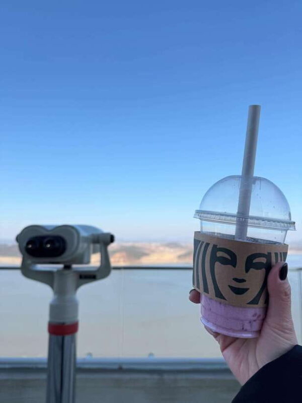 From Seoul: Aegibong Starbucks Observatory & DMZ View - Key Points