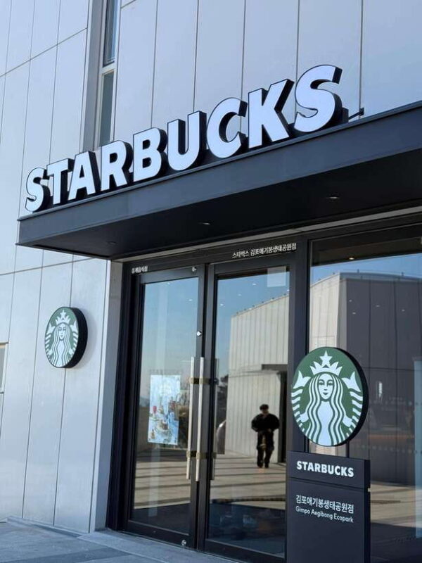 From Seoul: Aegibong Starbucks Observatory & DMZ View - The Experience in Detail