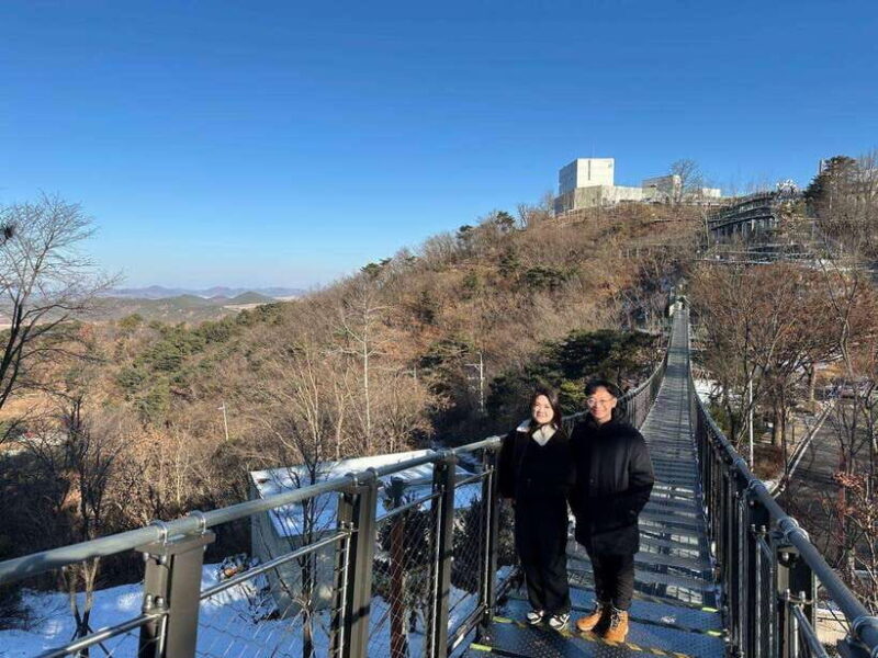 From Seoul: Aegibong Starbucks Observatory & DMZ View - Practical Tips for Travelers