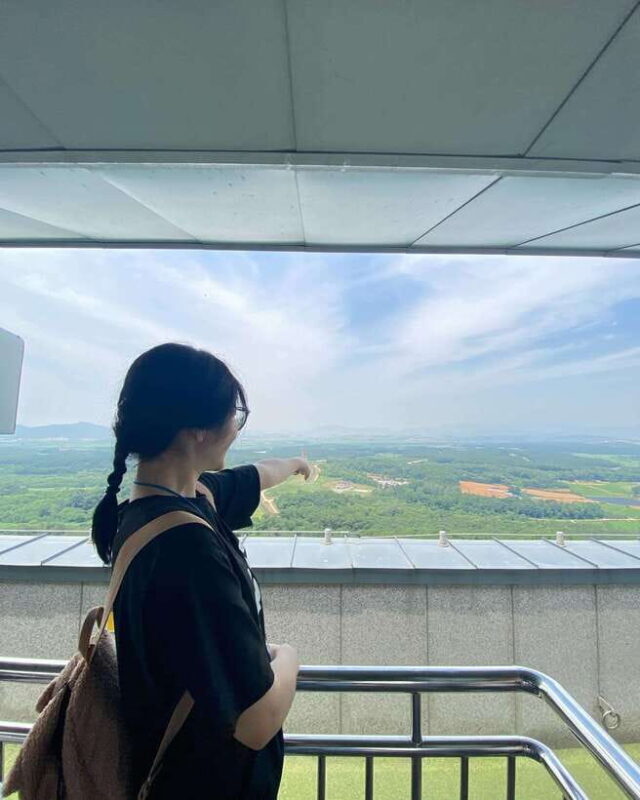 From Seoul: DMZ and Gamaksan Suspension Bridge Full Day Tour - A Practical Introduction to the Tour Experience