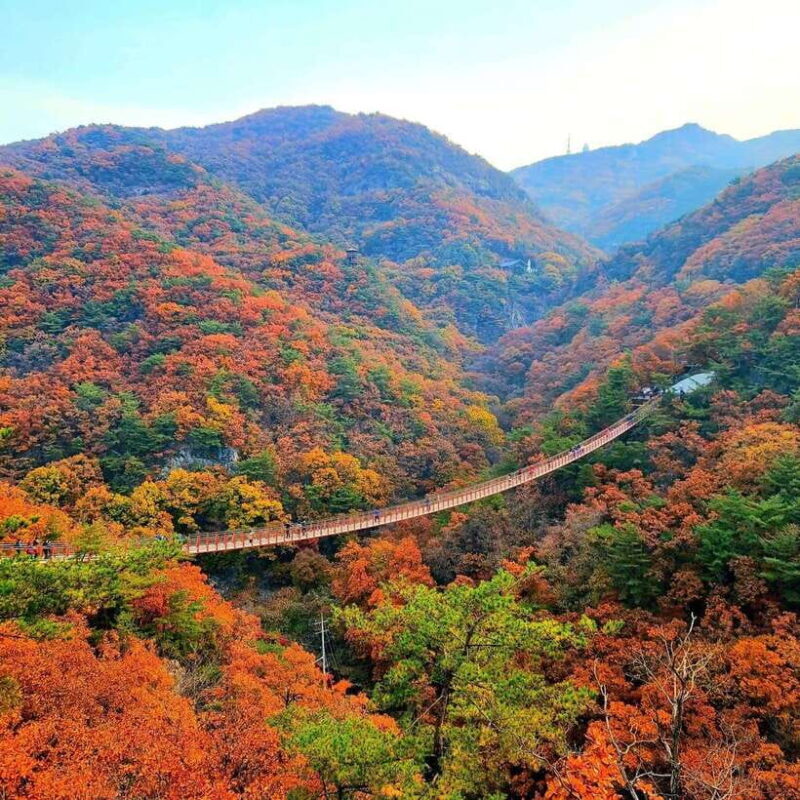 From Seoul: DMZ and Gamaksan Suspension Bridge Full Day Tour - Value and Practical Considerations