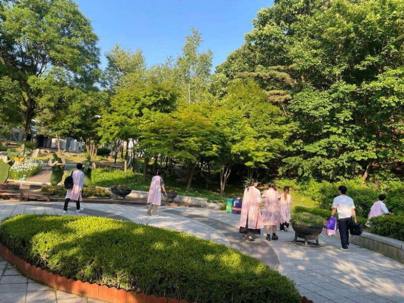 From Seoul: Guided Day Trip to Pocheon - FAQ