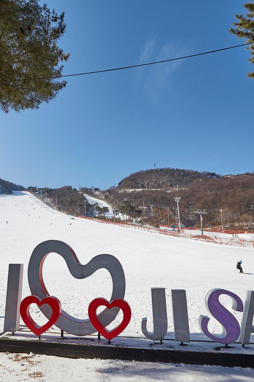 From Seoul: Jisan Ski Resort Serving Breakfast (No Shopping) - Scenic Mountain Views