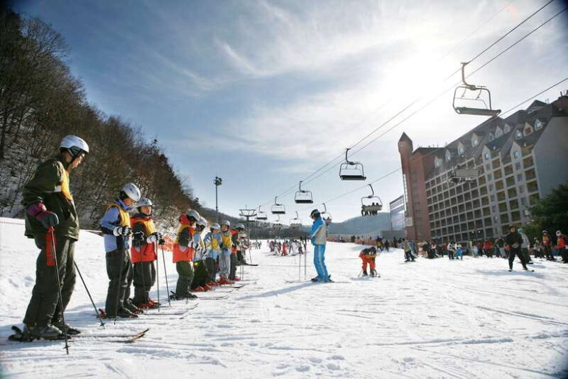 From Seoul: Korea Ski Tour - Jisan Forest Resort - Detailed Review of the Korea Ski Tour to Jisan Forest Resort