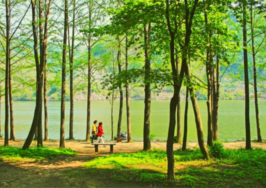 From Seoul: Nami Island, Korean Garden & Rail Bike Day Trip - Additional Information