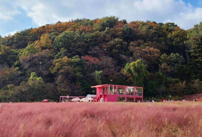 From Seoul: Pocheon, Sanjung Lake and Bidulginang Fall Trip - The Starting Point and Transportation